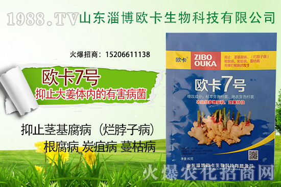 �W�������ٺ�1988.TV�����󌍬F(xi��n)��I(y��)�v�w����