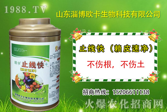 �W�������ٺ�1988.TV�����󌍬F(xi��n)��I(y��)�v�w����