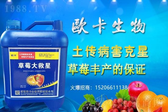 �W�������ٺ�1988.TV�����󌍬F(xi��n)��I(y��)�v�w����