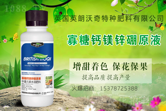 Ӣ������ɹ����s1988.TV���y�ֹ���(chu��ng)��(zh��n)����