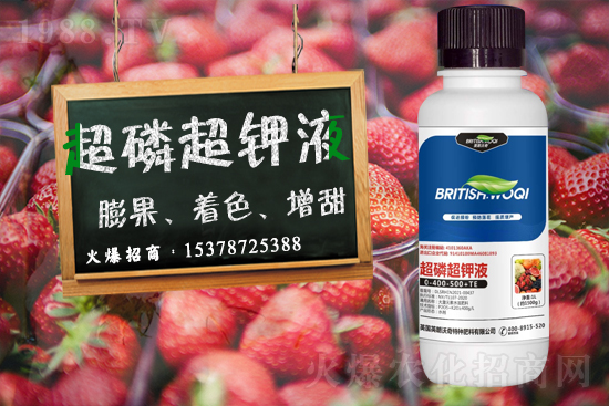 Ӣ������ɹ����s1988.TV���y�ֹ���(chu��ng)��(zh��n)����