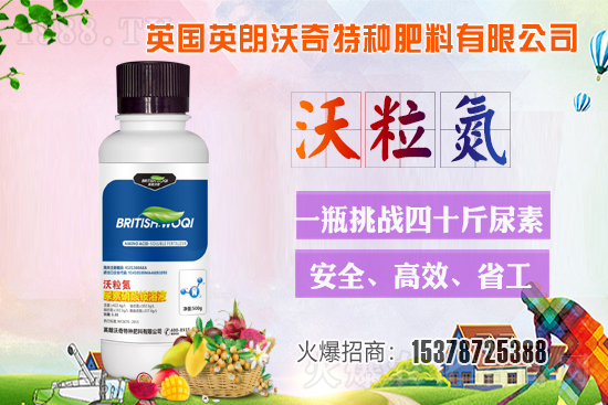 Ӣ������ɹ����s1988.TV���y�ֹ���(chu��ng)��(zh��n)����