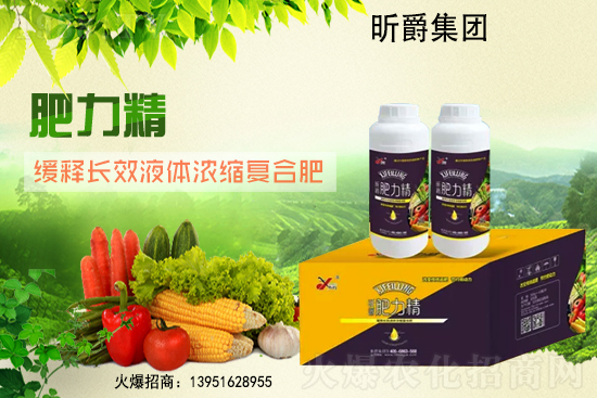 2700����(y��ng)����(ch��)�����؆��������؃r(ji��)������Ј�(ch��ng)50-100Ԫ/����