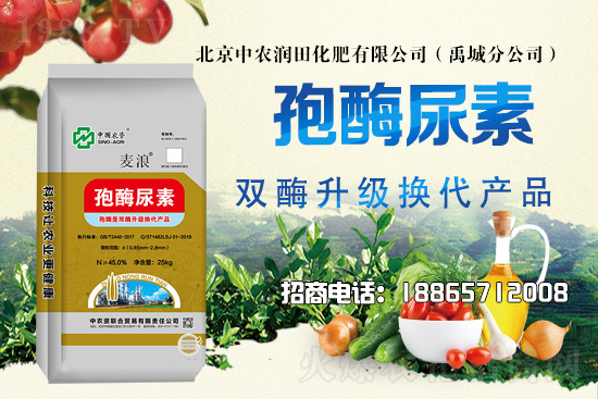 ��������������2021��6��21�������Ј������߄�