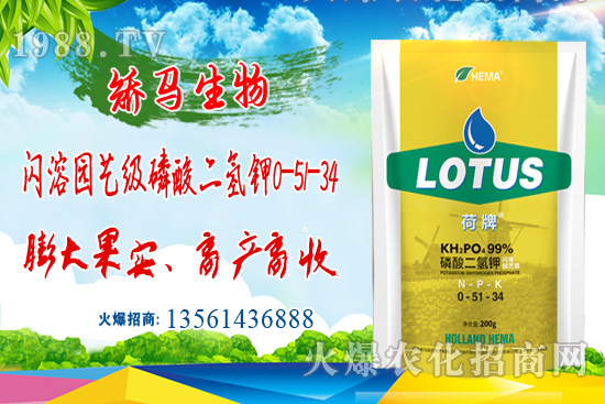 2021��6��8�Շ���(n��i)⛷ʃr�������߄�