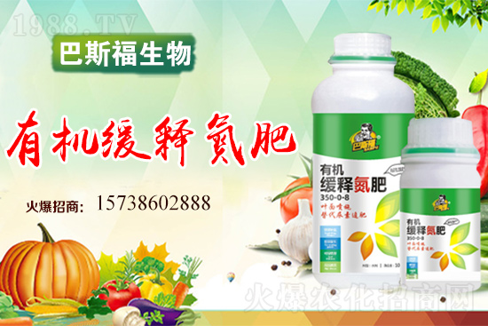 西紅柿畸形果是什么原因造成的?西紅柿畸形果怎么預(yù)防?