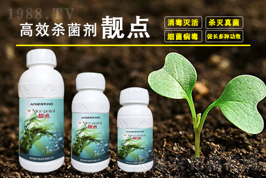 2021��8��27�ձ��h(hu��n)�򚢾����r������