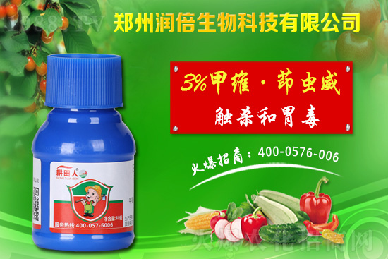 Σ��ʢ�ڵ�������η��Σ��Ҙ����x��Σ���c������