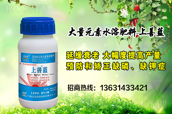 �V���������r(n��ng)�ٶȔy��1988.TV���y�ֹ���(chu��ng)��(zh��n)����