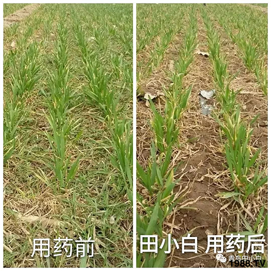 С���s������(ji��)��(ji��)�����E�ɞ�(z��i)����ô�k��С�����݄���ô�x