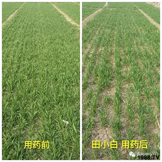 С���s������(ji��)��(ji��)�����E�ɞ�(z��i)����ô�k��С�����݄���ô�x