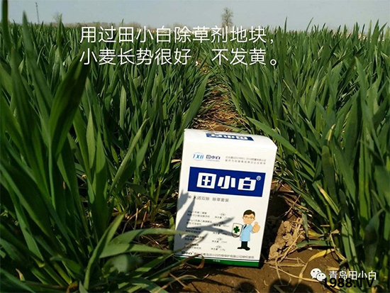 С���s�ݣ���(ji��)��(ji��)�����E�ɞ�(z��i)����ô�k��С�����݄���ô�x