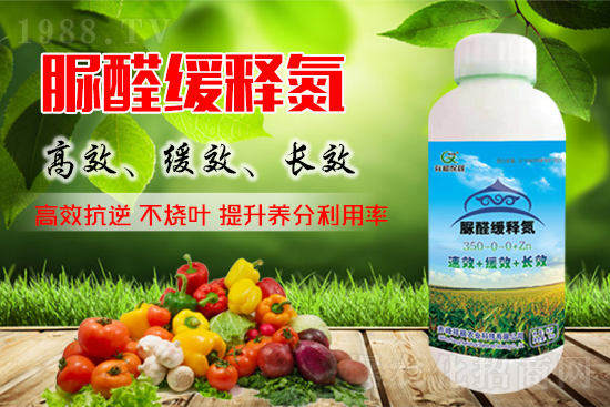 ���؃r���߄���2021��9��4�ձ������؃r�������܈�