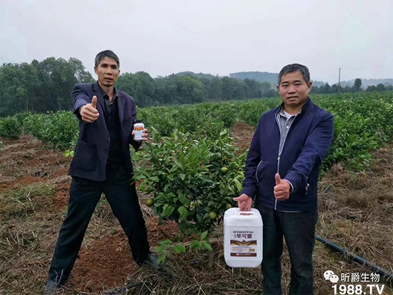 昕爵集團(tuán)83