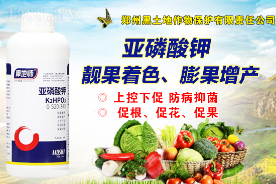 2022��2��19�����@��(b��o)�r(ji��)�Ƕ��٣�