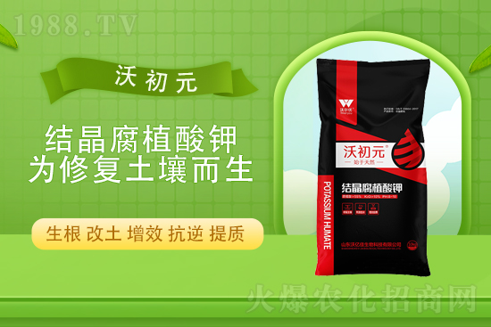 2022��2��24�Շ���(n��i)���؃r(ji��)������һ�[