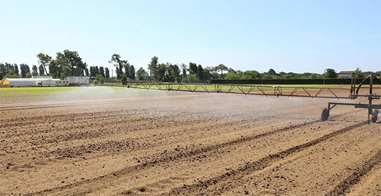 重磅!第七屆成都種業(yè)博覽會定檔11月18日