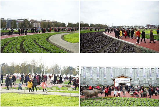 重磅!第七屆成都種業(yè)博覽會定檔11月18日