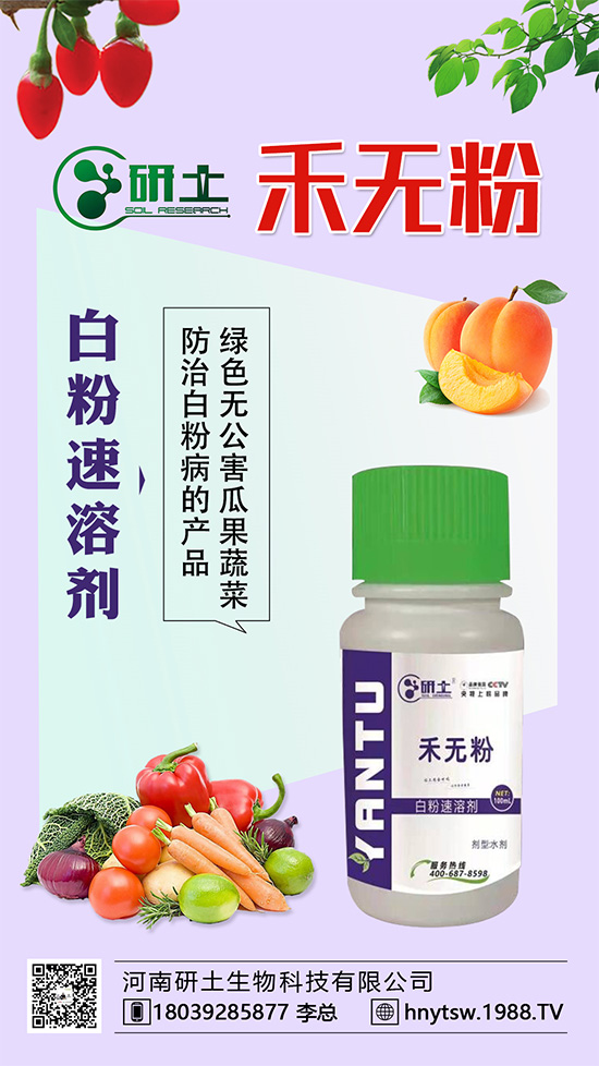 ���Ѱ׷۲��������l(f��)���������ֱ�׷۲���