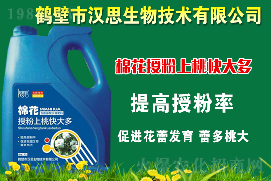 �޻��Nֲ��ô�������޻������L�ڹ���Ҫ�c(di��n)