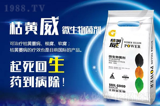 ���Sή�����ݵȲ������Ӝ皢�������͉�����