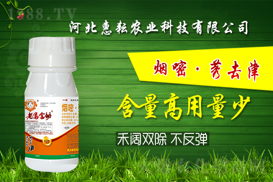 �⚢�pЧ�����ͨ�������������ӛס�@��(g��)�䷽�͉���! 