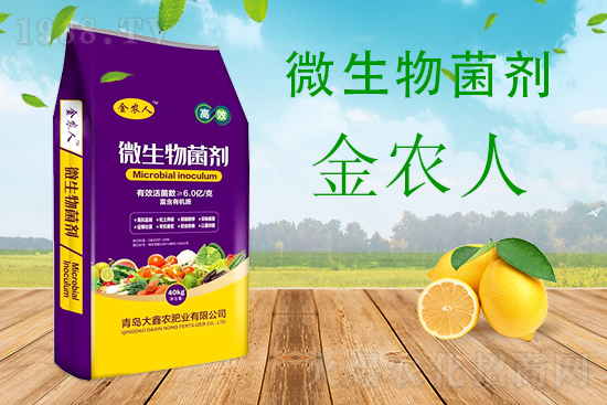 С���ƌW����������������ԓ��ô����