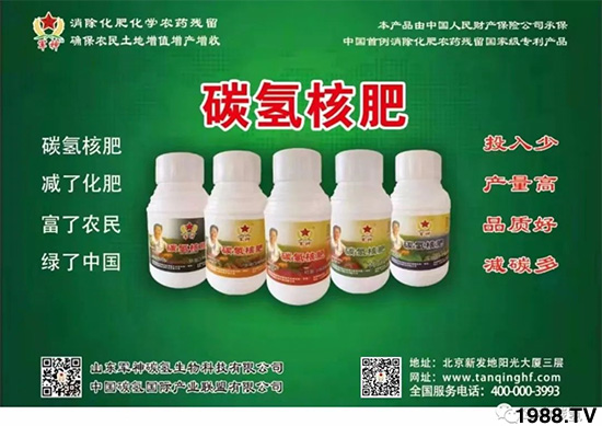 ���y���÷ʲ��x���������g