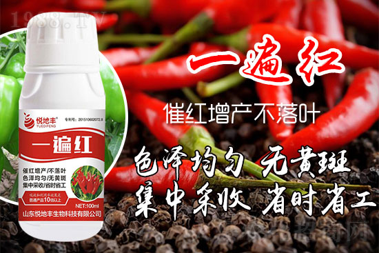 �����߼t��ʩ��ô�������������ǰ���У������߼tˎʲô�r������