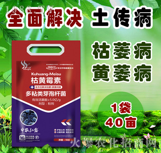     ��(x��)���Բ�������Щ������ˎ����ô�x��һƪ�����f(shu��)����