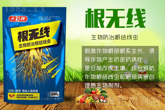 根結(jié)線蟲殺死容易殺絕難!這樣防治效果好到驚人!