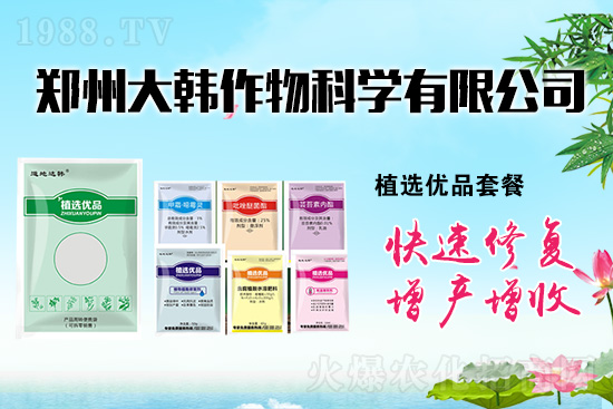 ����ˎ���ʺ��l�l(f��)��ô�k���l(f��)��ˎ���ʺ�����a����