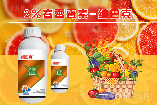 番茄潰瘍病怎么辦?聽聽專家怎么說!