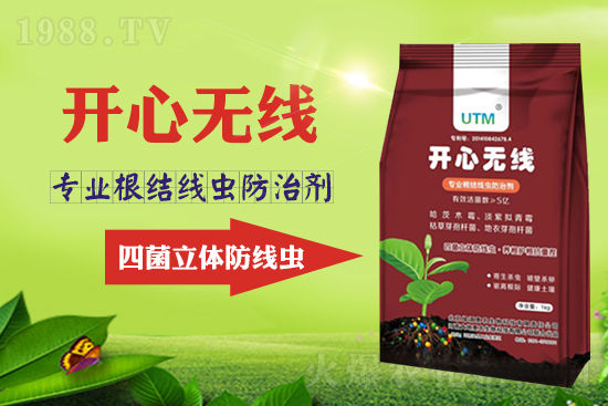 ���Y(ji��)���xΣ���������x������Ҋ�R����