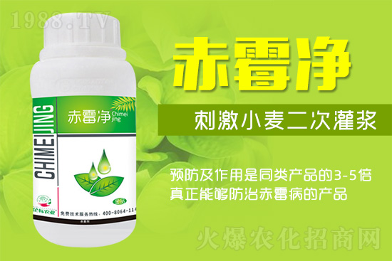 �o�����ѣ�δ��ʮ����С����ù�������P(gu��n)�I������(w��)��ץ����