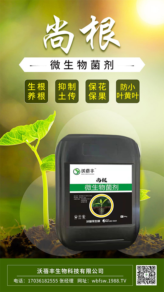 ��ô����׌���������Ѹ������@����׌��������������