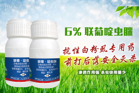 ���԰׷�ʭ�y�����y�����@����ˎ�x(ch��ng)���p�������x(ch��ng)��