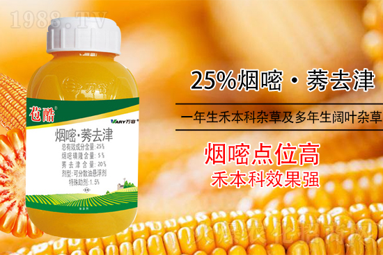 ���׳������e���@�׷N���݄���