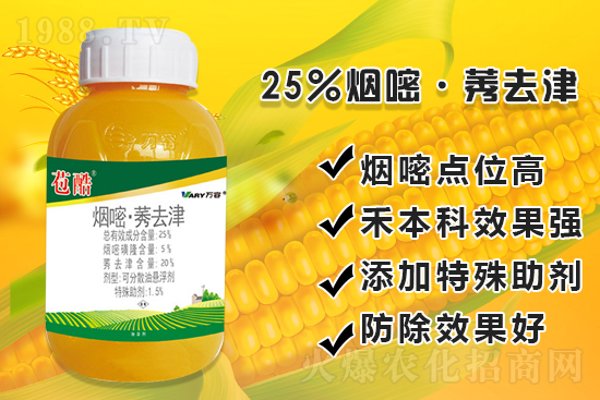 ���׳��ݣ��e���@�׷N���݄���