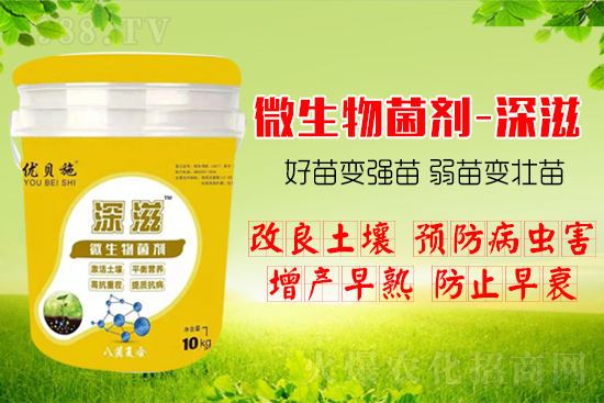 ������α��l(f��)ʽ�������������B(y��ng)�������������