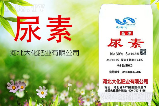 ���ص����ܲ������~�������ô����