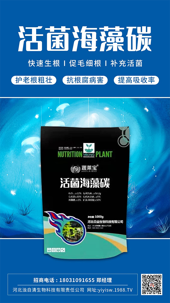 �@���Ǹ��õ�����䷽������������������ɫ������