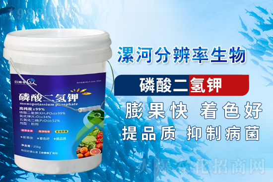 �~��ʵć�ʩ�`�^(q��)���@���c�e������