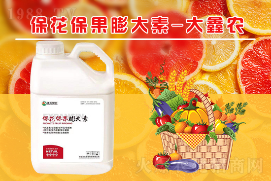 �ļ���������ٲ�������α��������