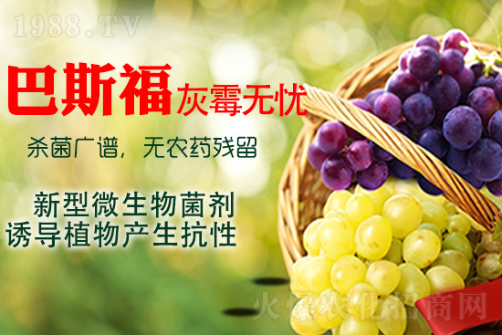 ���ѻ�ù��ԓ��ν�Q����ù����ˎ���h��