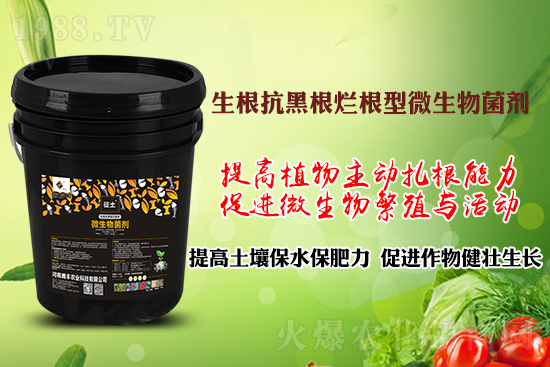 ����ڸ��������S�������l�l(f��)���á������p�ɽ�Q�����f�Nֲ����������