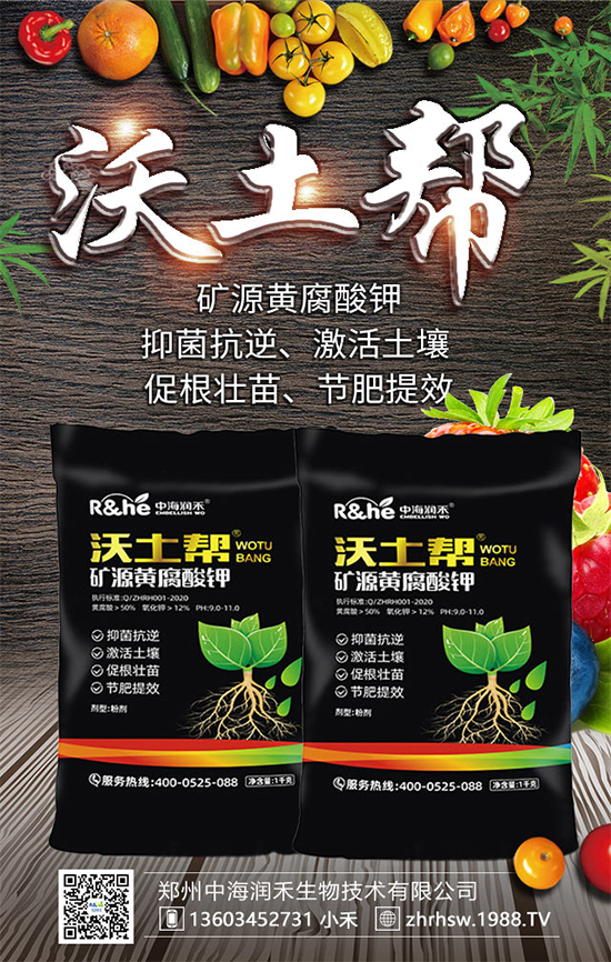 �VԴ�S�������ô�ã��ŵ���������ܿ���Ч����