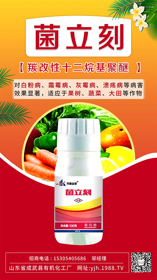 ����˪ù��߀�ǰ׷۲����e��ɵɵ�ֲ����ˣ���ηֱ漰������