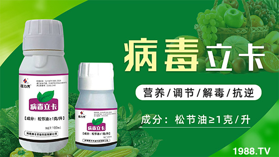 �ƽ�ֲ�ﲡ�������y�}�����ٻ֏����C���@��ˎ���Ͼ͹�����