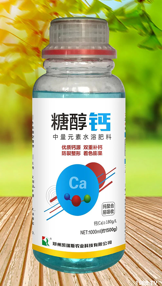 ���¹�����ô�������@�����������������ɫ������ȸ���